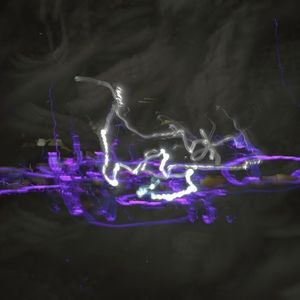 Meet your Posher, Howard